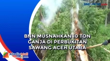 BNN Musnahkan 10 Ton...