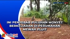 Ini Penyebab Puluhan...