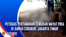 Petugas Pertamanan Temukan...