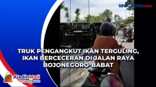 Truk Pengangkut Ikan...