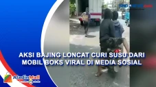 Aksi Bajing Loncat Curi...