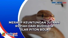 Meraup Keuntungan Jutaan...