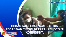 Bekantan Tersengat Listrik...