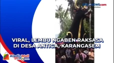 Viral, Lembu Ngaben...