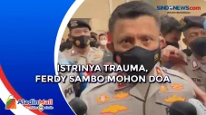 Istrinya Trauma, Ferdy...