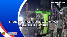 Truk Muatan Udang Tumpah...