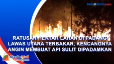 Ratusan Hektar Lahan...