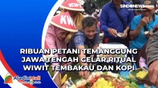 Ribuan Petani Temanggung...
