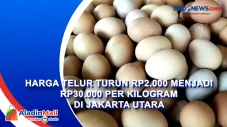 Harga Telur Turun Rp2.000...