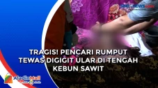 Tragis! Pencari Rumput...