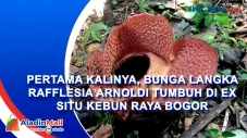 Pertama Kalinya, Bunga...