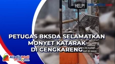 Petugas BKSDA Selamatkan...