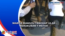 Warga Mamuju Tangkap...