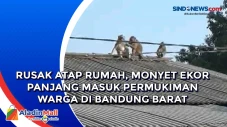 Rusak Atap Rumah, Monyet...