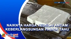 Naiknya Harga Kedelai...