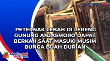 Peternak Lebah di Lereng...