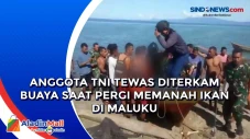 Anggota TNI Tewas Diterkam...