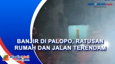Banjir di Palopo, Ratusan...