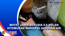 Mayat Janin Berusia...