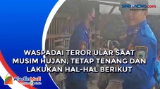 Waspadai Teror Ular...