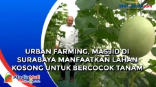 Urban Farming, Masjid...