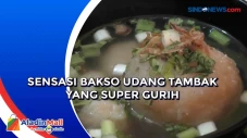 Sensasi Bakso Udang...