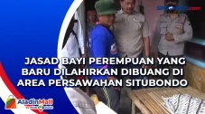 Jasad Bayi Perempuan...