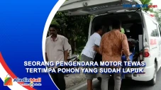 Seorang Pengendara Motor...