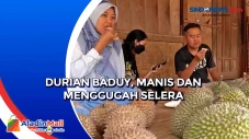 Durian Baduy, Manis...
