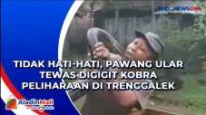 Tidak Hati-Hati, Pawang...