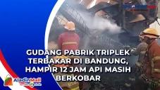 Gudang Pabrik Triplek...