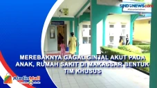 Merebaknya Gagal Ginjal...