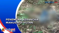 Pencari Madu Temukan...