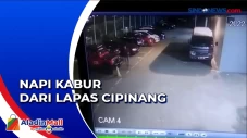 Modal Sarung, Napi Narkoba...