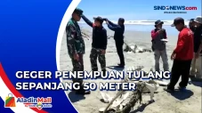 Geger Penemuan Tulang...