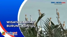 Menelusuri Wisata Mangrove...