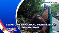 Akhirnya Kembali ke...