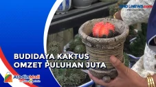 Berawal dari Hobi, IRT...