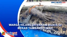 Diduga Diterkam Buaya,...