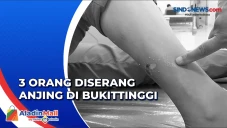 Anjing Serang Warga,...
