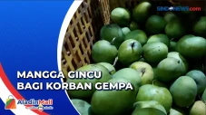 Ceriakan Korban Gempa,...