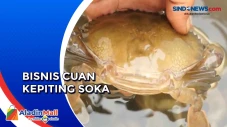 Raup Cuan dengan Budi...