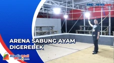 Gerebek Sabung Ayam,...
