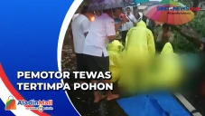 Pemotor Tewas Tertimpa...