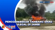 Tambang Emas Ilegal...