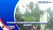 Pohon Tumbang Timpa...