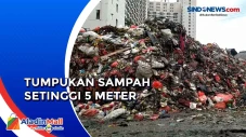 Gunungan Sampah Setinggi...