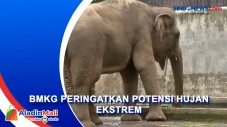 Taman Margasatwa Ragunan...