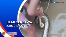 Terbawa Arus Banjir...