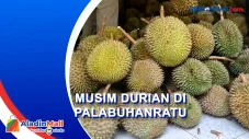 Musim Durian di Palabuhanratu,...
